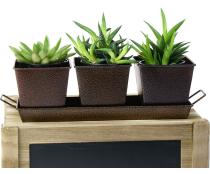 metal powder coated brown herb container by42 1br wholesale containers