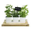 tin herb pot white by42 1w wholesale metal containers pails pots rectangle