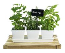 tin herb pot white by42 1w wholesale metal containers pails pots rectangle
