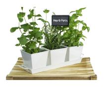 tin herb pot white by42 1w wholesale metal containers pails pots rectangle