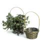 6  bamboo utility shop stained so576 1s wholesale basket containers handled baskets
