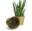 rattan pot cover 10  12  round pr10 1s