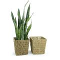 rope pot cover 10 square top pb20 1 wholesale basket containers