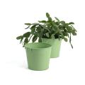 5  tin pot fern green by03 1fg wholesale metal containers pails