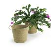 jute pot cover 6  pj10 1 wholesale basket containers