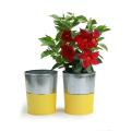 6  galvanized bucket tall ribbedyellow base by127 1gy wholesale pot covers