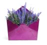 metal envelope transparent fuchsia color finish ny19 1tfa wholesale containers novelty
