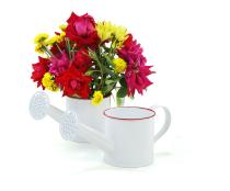 mini metal sprinkling white yy12 1w wholesale containers pails pots
