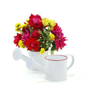 mini metal sprinkling white yy12 1w wholesale containers pails pots