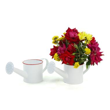 mini metal sprinkling white yy12 1w wholesale containers pails pots