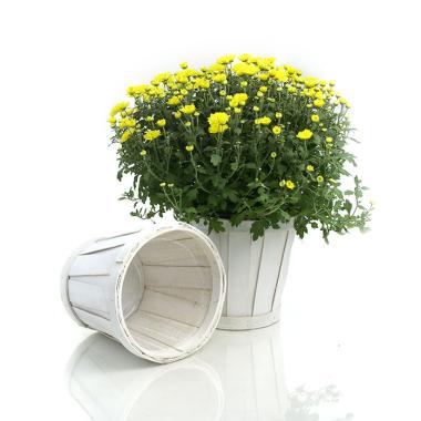6  woodchip pot cover white pd04 1w wholesale covers 6
