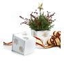 6x6  sq tin pot white snow flakes by66 1sfw wholesale