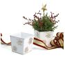 6x6  sq tin pot white snow flakes by66 1sfw wholesale