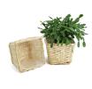 medium willow square top deep tray sq lining single