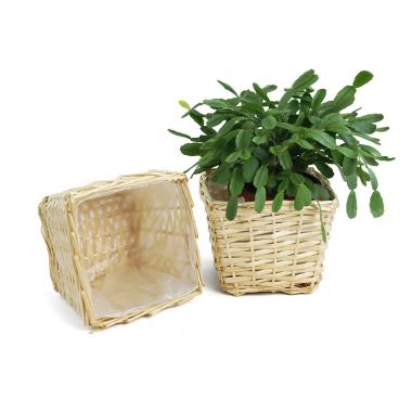 medium willow square top deep tray sq lining single