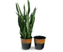 9  solid iron spun planter blackbrown glazed 8  pot