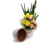 solid spun iron bell shaped terra cotta brushed white finish planter