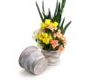 solid spun iron bell shaped terra cotta brushed white finish planter