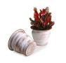 6  solid spun iron bell shaped terra cotta brushed white