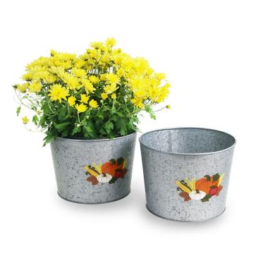 10  galvanized pot embossed harvest by10 1ht wholesale metal containers pails