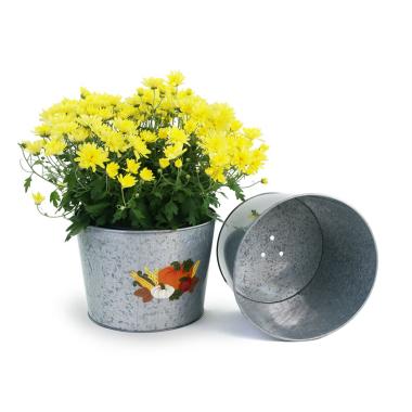 10  galvanized pot embossed harvest by10 1ht wholesale metal containers pails