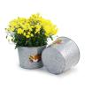 10  galvanized pot embossed harvest by10 1ht wholesale metal containers pails
