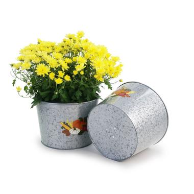 10  galvanized pot embossed harvest by10 1ht wholesale metal containers pails