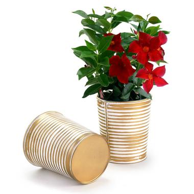 5  metal bucket tall ribbed gold finish by124 1srg wholesale pot covers
