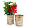 5  metal bucket tall ribbed gold finish by124 1srg wholesale pot covers