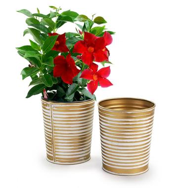 5  metal bucket tall ribbed gold finish by124 1srg wholesale pot covers