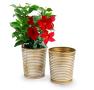 5  metal bucket tall ribbed gold finish by124 1srg wholesale pot covers