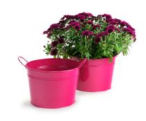 10  metal pot berry pink by96 1bp wholesale covers