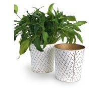 11  metal tall bucket white gold diamond pattern by123 1dpg wholesale