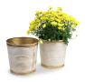 9  metal bucket tall ribbed gold finish by122 1srg wholesale pot covers