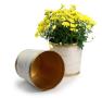 9  metal bucket tall ribbed gold finish by122 1srg wholesale pot covers