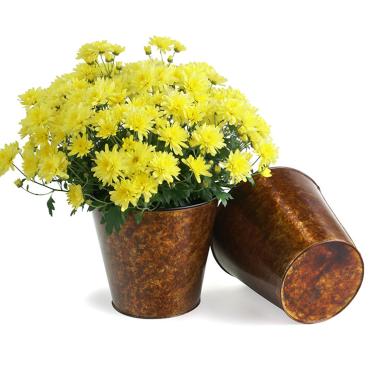 825 inch aged copper tin pot cover by118 1ac wholesale covers