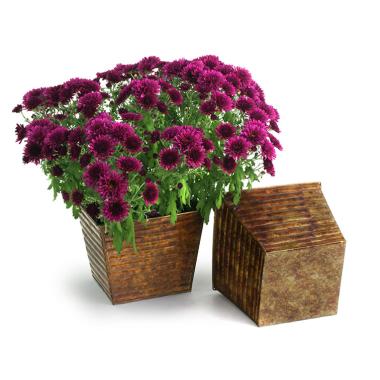 75  ribbed sq tin pot cover brown ty97 1br wholesale