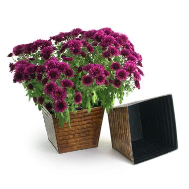 75  ribbed sq tin pot cover brown ty97 1br wholesale