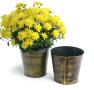 75  tin pot cover brushed brass 6  by441 1brs wholesale