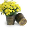 75  tin pot cover brushed brass 6  by441 1brs wholesale