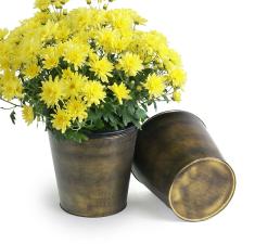 75  tin pot cover brushed brass 6  by441 1brs wholesale