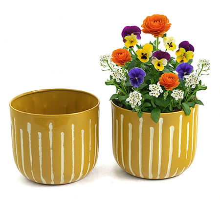 Solid Paisley Iron Bowl