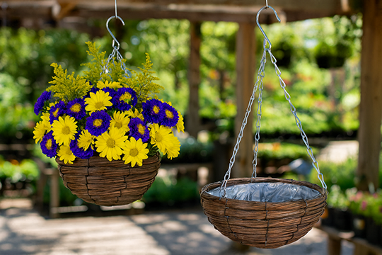 Wholesale Gathering Basket container with Handle